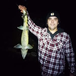 Meet your Posher, Don